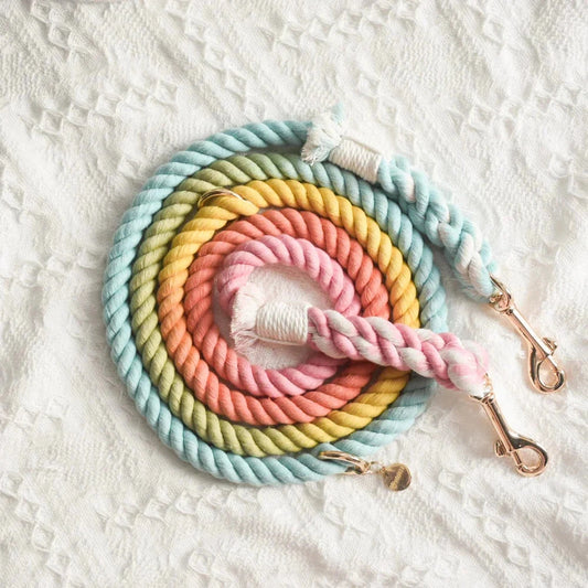 Rainbow Rope Dog Leash