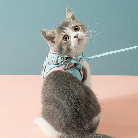 Secure Fabric Cat Harness & Leash Set