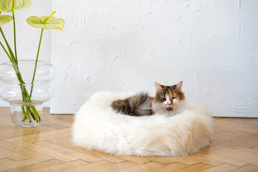 Premium Round Natural Sheepskin Pet Bed - White