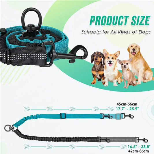 Tangle-Free Dual Dog Leash