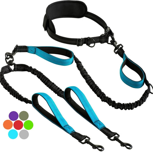 Hands-Free Dual Dog Leash with Adjustable Waist Band