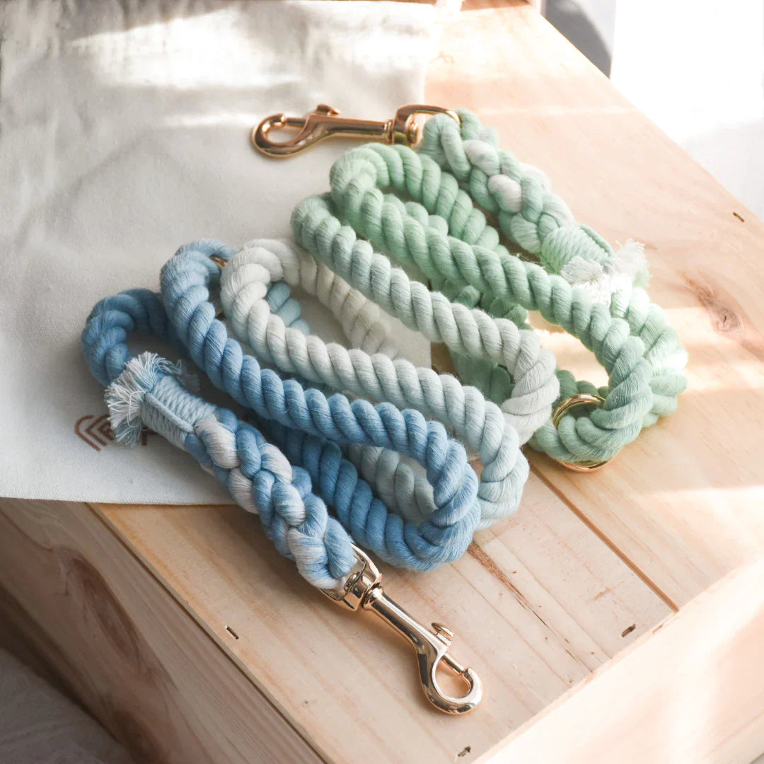 Hands Free Green & Blue Dog Leash
