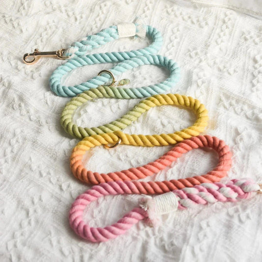 Rainbow Rope Dog Leash
