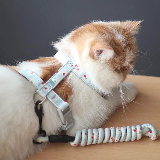 Anti-Tug Cat Harness & Leash Set