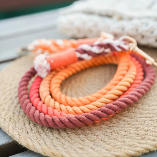 Tangerine Rope Dog Leash