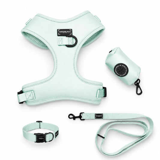 Mint Green Dog Walking Bundle | Matching 4-Piece Set