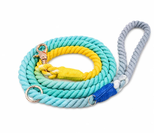 Teal & Yellow Rope Dog Leash