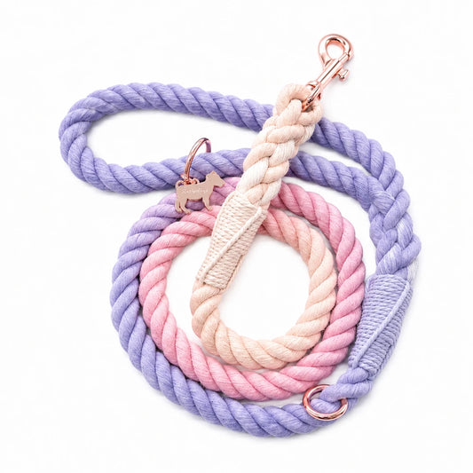 Pastel Rope Dog Leash