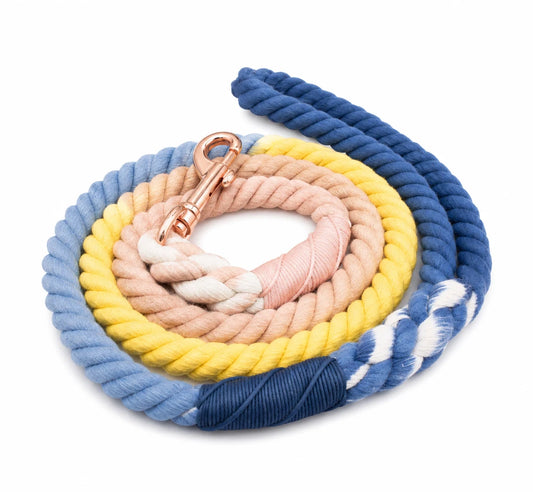 Blue & Yellow Rope Dog Leash