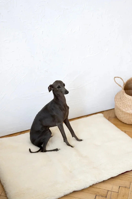 Premium Square or Rectangular Natural Woolen Pet Mat - White