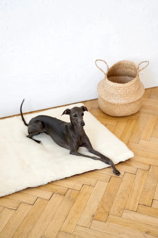 Premium Square or Rectangular Natural Woolen Pet Mat - White
