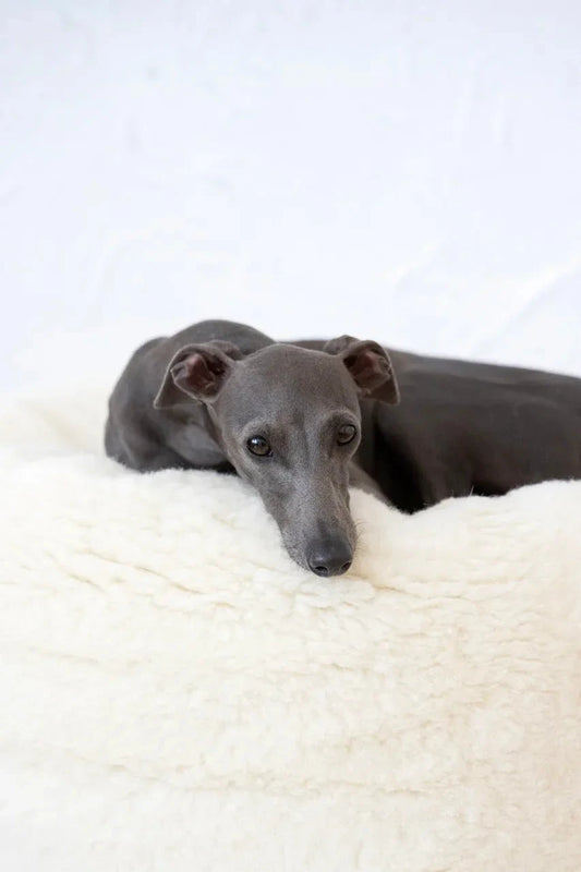 Premium Oval Natural Wool Pet Bed - White