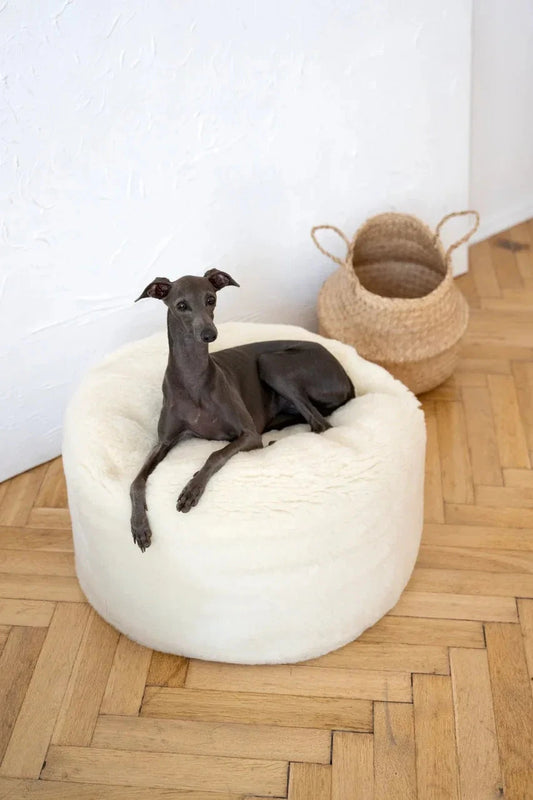 Premium Oval Natural Wool Pet Bed - White