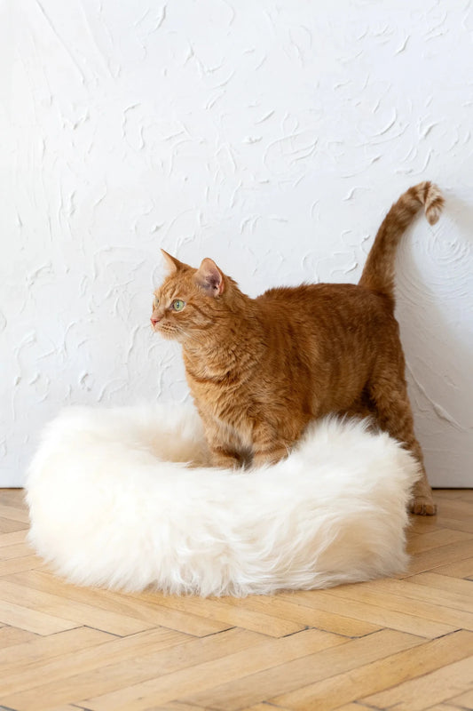 Premium Round Natural Sheepskin Pet Bed - White