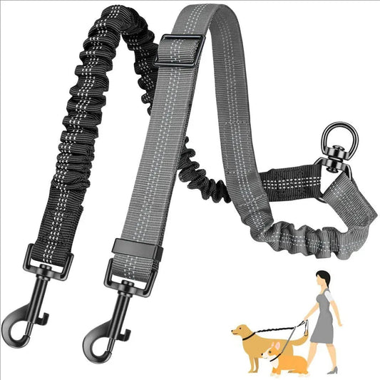 Tangle-Free Dual Dog Leash