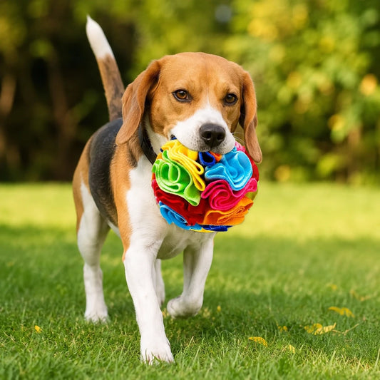Interactive Snuffle Ball for Dogs