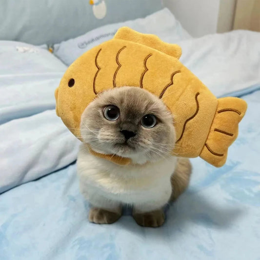 The Fish Hat Your Cat Definitely Did Not Ask For