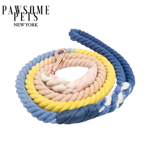 Blue & Yellow Rope Dog Leash