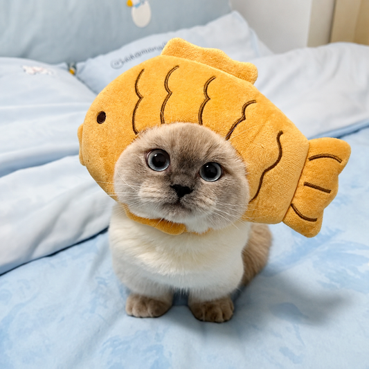 Cat wearing a fish-shaped hat on a blue blanket