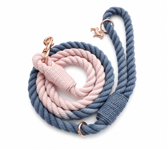 Navy & Pink Rope Dog Leash