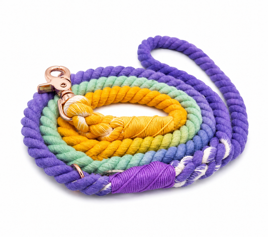 Sunset Rope Dog Leash